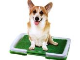 Sanitario Canino Puppy Potty Pad grama artificial